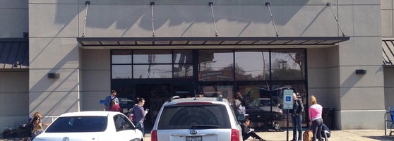 pets at home long dog lead