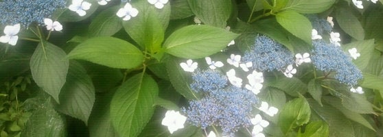 仲よし公園 Park