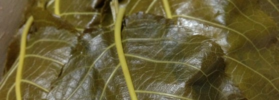 琴きき茶屋 嵐山 6 Tips 琴きき茶屋 嵐山 6 Tips