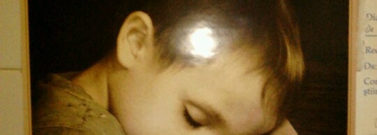 Institutul De Pneumoftiziologie Marius Nasta Ferentari Bukarest BucureÈ™ti