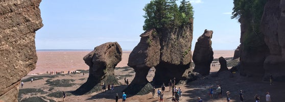 Hopewell Rocks - 131 Discovery Road