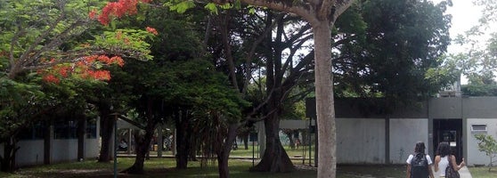 UEFS Universidade Estadual de Feira de Santana Novo Horizonte