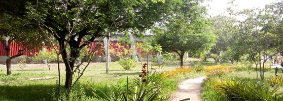 UEFS Universidade Estadual de Feira de Santana Novo Horizonte