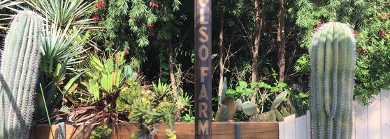 Solso Farm 宮前区 6個のtips Solso Farm 宮前区 6個のtips