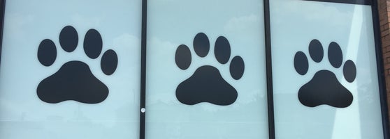 metro paws animal hospital - skillman dallas tx