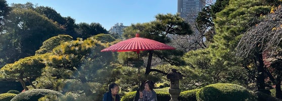 日本庭園 Garden In 新宿区