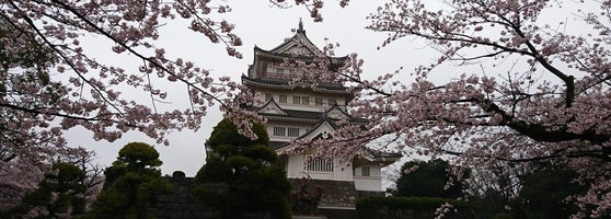 亥鼻公園 中央区亥鼻1 6