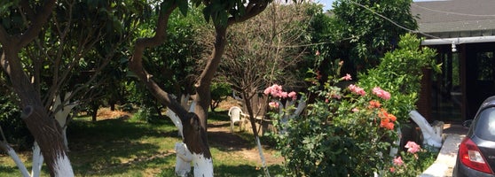 Yemyeşil Mangal 2856 ziyaretçidan 57 tavsiye