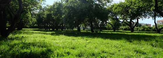 Музей-заповедник «Коломенское» - Нагатинский затон - 547 tips