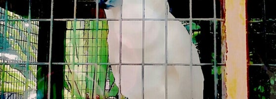 Taman Botani Negara Shah Alam - 55 tips