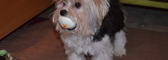 Sprinkles Cupcakes Upper East Side 202 tips