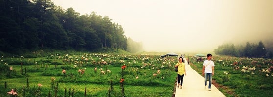 ハンターマウンテン塩原 那須塩原市 湯本塩原前黒