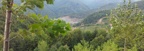 Cemal�ın Yeri Bolu Dağı Et Lokantası 521 ziyaretçidan 13 tavsiye