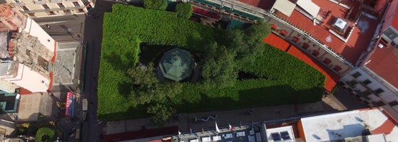 jardin de la union 117 tips