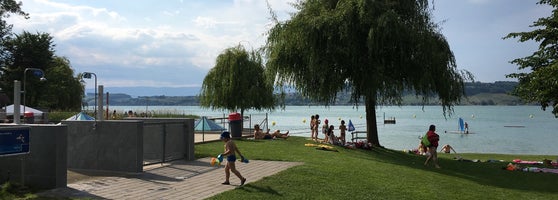 Murtensee 5 Tips From 460 Visitors