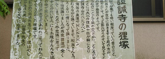 證誠寺 Buddhist Temple In 木更津市 證誠寺 Buddhist Temple In 木更津市