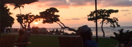 Beach Tree Hualalai 37 Tips From 1068 Visitors