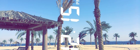 Palm Beach Resort منتجع شاطئ النخيل 78 Tips From 9683 Visitors