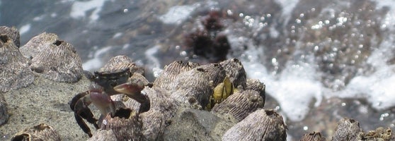 稚児ヶ淵 江の島2 稚児ヶ淵 江の島2