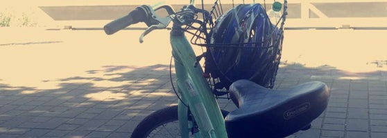 outer rim bicycle shop