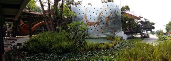 el tenedor del cerro santo domingo