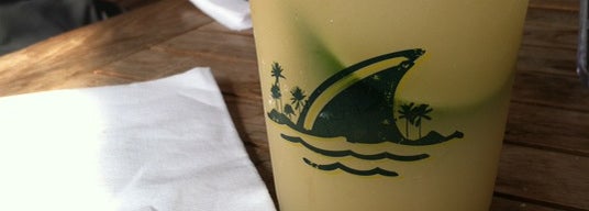 movie grill margaritaville movie grill margaritaville