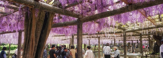 天王川公園 7 Tips 天王川公園 7 Tips