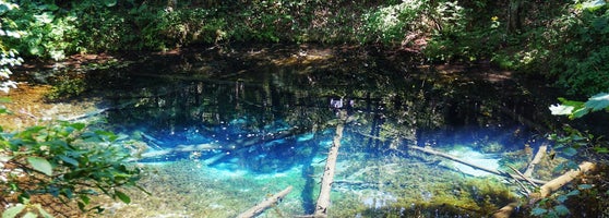 神の子池 Lake In Kiyosatocho 北海道