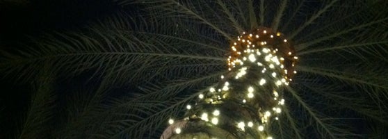 Sandbar Mexican Grill - Mexican Restaurant in Chandler