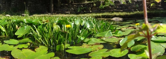 Botanischer Garten Westerberg Gutenbergstr