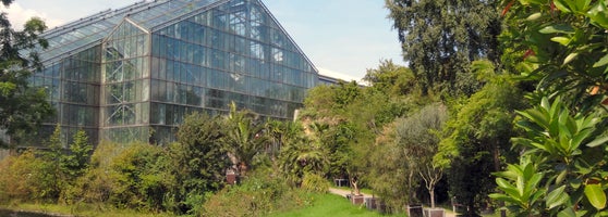 Botanischer Garten Westerberg Gutenbergstr