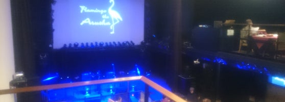 フラミンゴ ジ アルーシャ Flamingo The Arusha Music Venue In 大阪市