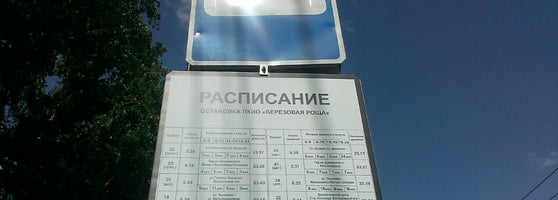 березовая роща автобус. остановка 802 автобуса бульвар дмитрия донского. остановка березовая роща новосибирск. березовая роща автобус. береза на остановке.