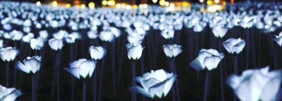 The Nightscape of Light Sensation u2013 Love Series (Now Closed