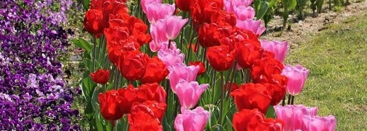 長居植物園 Botanical Garden In 東住吉区