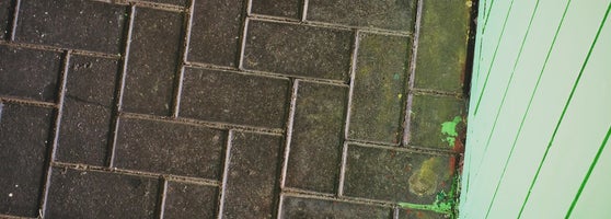 Taman Botani Negara Shah Alam - 55 tips