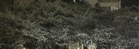 花園神社 Hanazono Jinja Shrine 新宿区 Da Turbe 花園神社 Hanazono Jinja Shrine 新宿区 Da Turbe