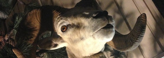 Mountain Station - Palm Springs Aerial Tramway - 9 tips