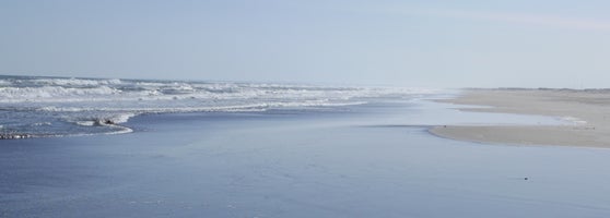 蓮沼海浜公園 2 Tips From 806 Visitors