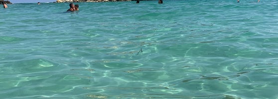 Spiaggia Dellisola Dei Conigli пляж