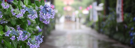 芳賀天満宮 2 Tips