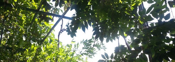 cardak talas ta kafe