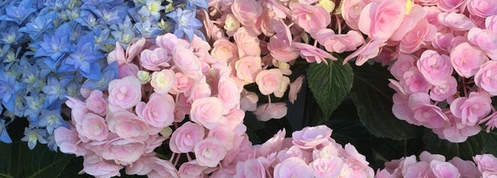 くろがねや 成城店 砧 14個のtips