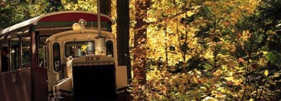 赤沢自然休養林 上松町 長野県