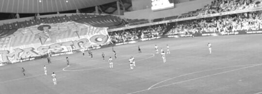 Hazza Bin Zayed Stadium Al Ain