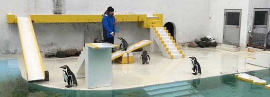 おたる水族館 10 Conseils