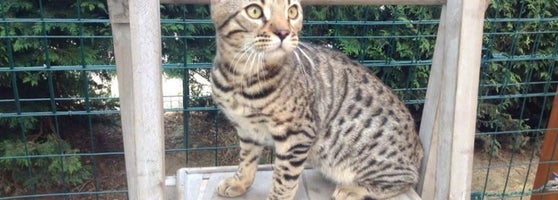 Chatterie Du Clos De Lorme 46 Rue Abbé Pierre Jouve