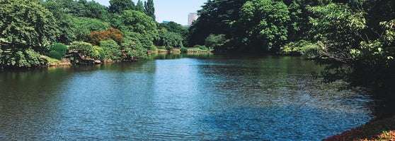 風景式庭園 Garden In 新宿区 風景式庭園 Garden In 新宿区