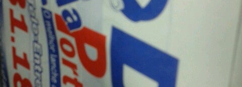 Dog Da Portugal 5 Tips From 118 Visitors