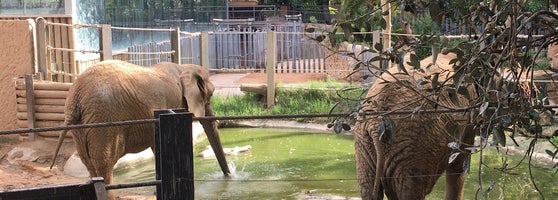 Zoo de Barcelona - Zoo in Sant Pere-Santa Caterina i la Ribera